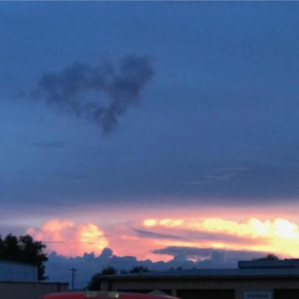 Meet your Posher, Dianne